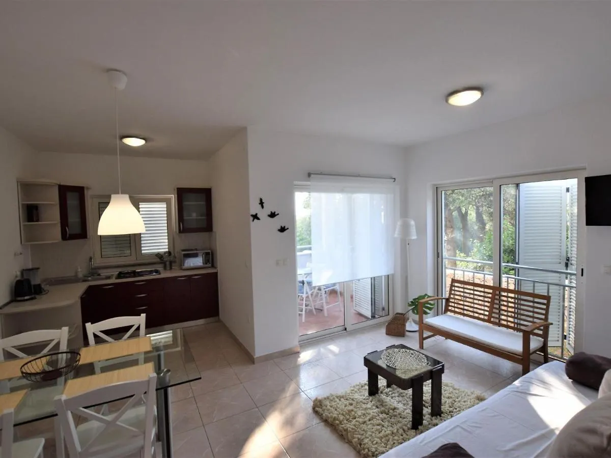 Spacious Apartment In Mandre With Terrace