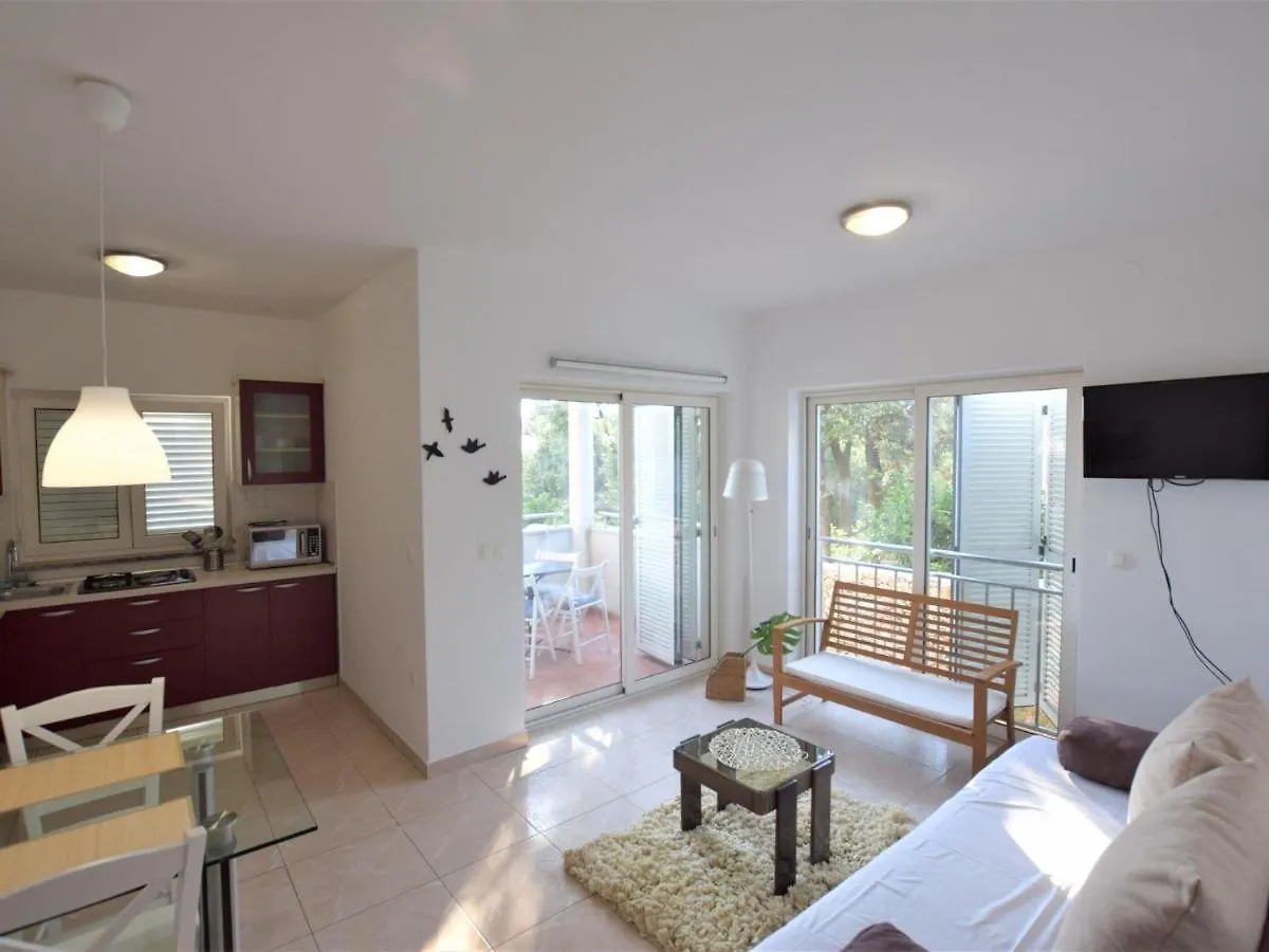 Spacious Apartment In Mandre With Terrace Croatia